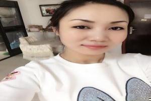 哥斯拉在械哥斯拉